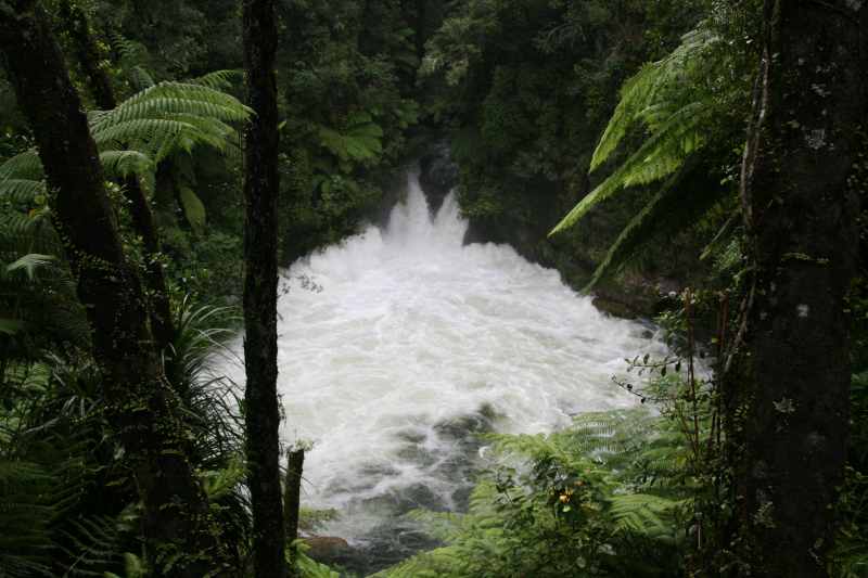Nieuw-Zeeland 2011 - 0570